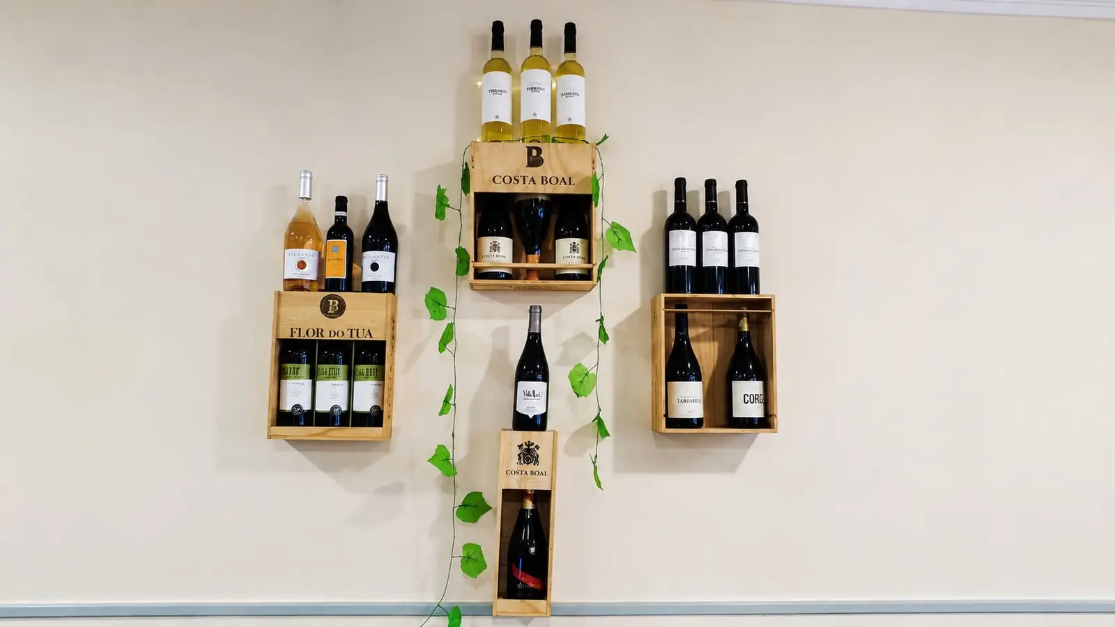 Garrafeira de vinhos